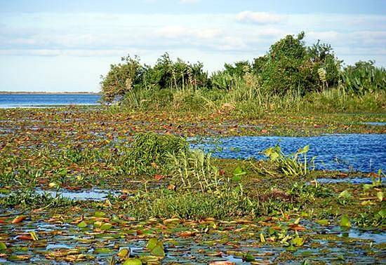 Esteros del Iberá (Marshes of the shining water), Colonia Carlos Pellegrini, Argentina