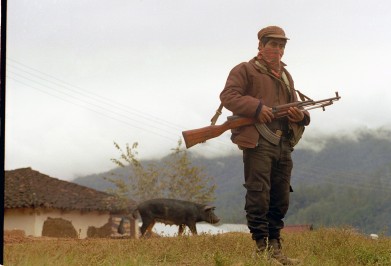 20.- zapatista con un cerdo 1LJG