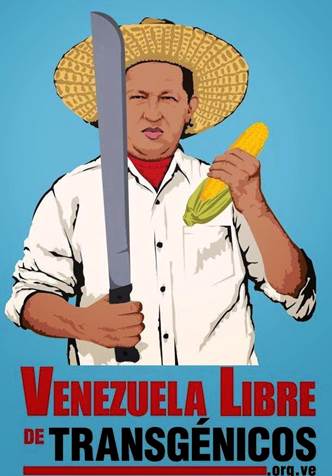 "Vénézuéla libre d'OGMs". L'affiche rappelle que Hugo Chavez a interdit, dès 2003, l'introduction d'OGM au Venezuela.