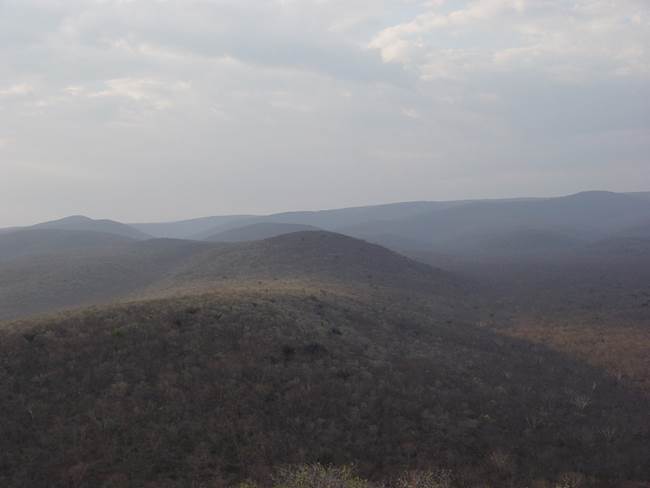 Vista desde el Cerro León, parte del territorio ancestral de los ayoreo totobiegosode. Foto: E'a. 