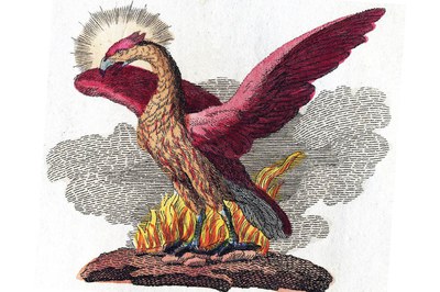 AveFenix