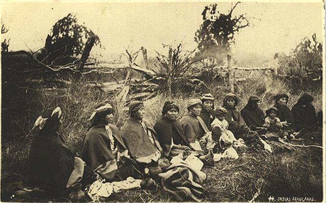 mapuches