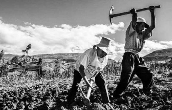 Reforma Agraria, cincuenta años y algo más…por venir