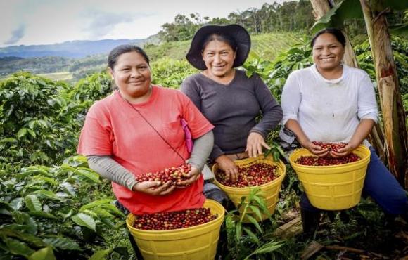 El 50% de consumo mundial, son cultivos por mujeres