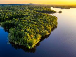 la-riqueza-natural-de-la-amazonia-como-base-del-desarrollo-sostenible-regional.jpg