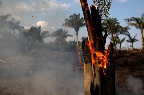 amazonia_incendio_ambiente.jpg