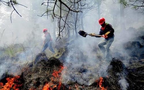 apagando_incendios_custom.jpg