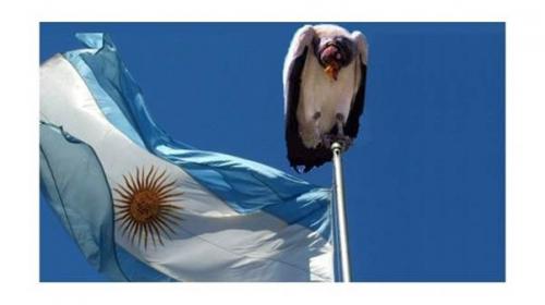  argentina bandera buitre