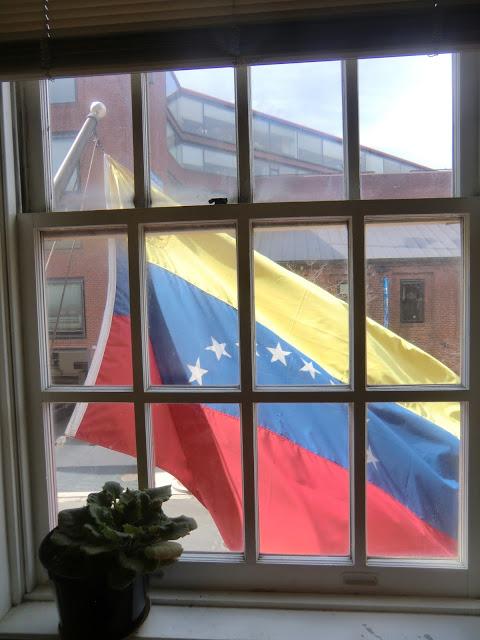 Foto: Luis Britto García bandera vevezuela