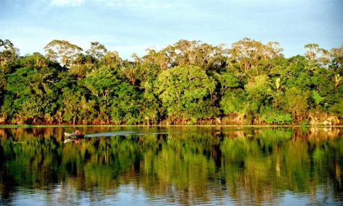 biodiversidad_brasil.jpg