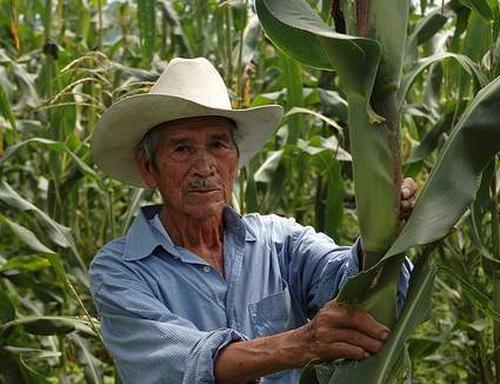 campesinos_agro.jpg