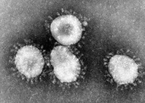 coronavirus_cdc-dr._fred_murphy_-_public_domain.jpg
