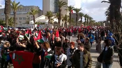 Marcha. Foto: Alex Cardoso, MNCR image002