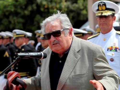 Mujica mujica andes small