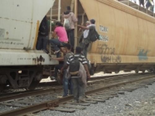 migrantes tren migrantes tren