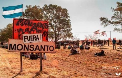 fuera monsanto fuera monsanto