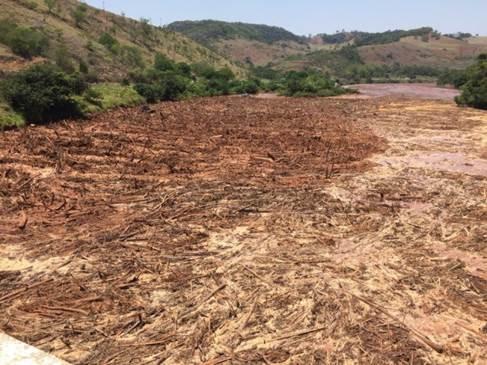 Foto: Jornal GGN Lama no Rio Doce