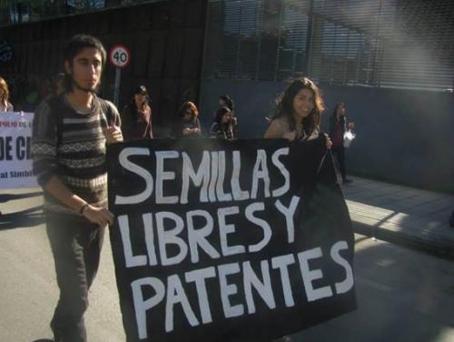 semillas libres y patentes semillas libres y patentes