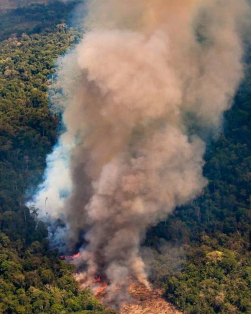 incendio_amazonica.jpg