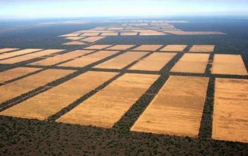 Chaco paraguayo extractivismo y el fen meno del cambio clim tico