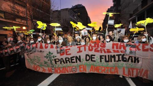 monsanto_movimientos_argentina.jpg