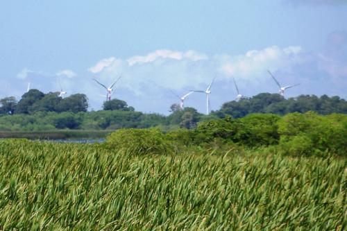 Foto: APA da Lagoa Verde, Rio Grande/RS (de Sandro Miranda, jan. 2015) rio blanco