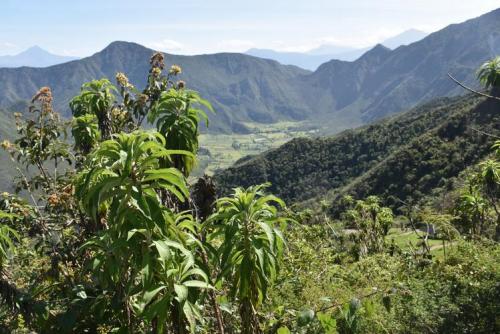 volcan_pululahua_ecuador.jpg